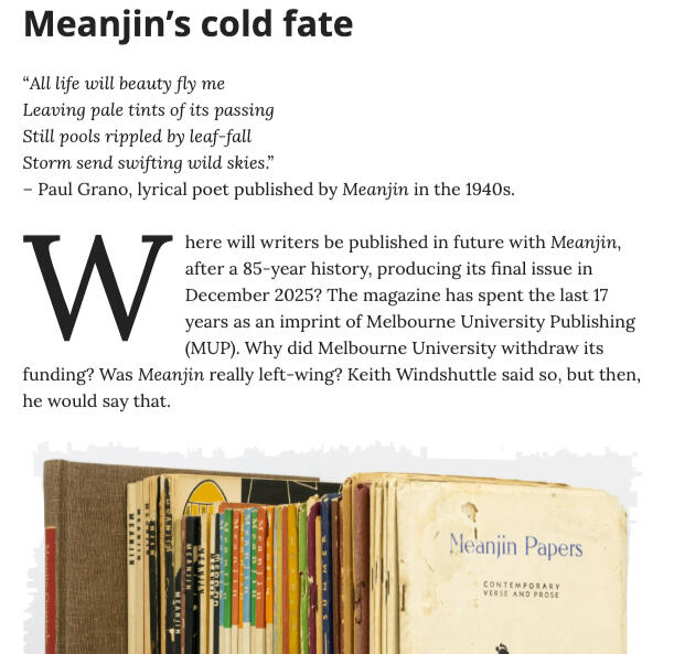 Screenshot of piece by Ian Curr titled Meanjin’s cold fate